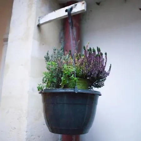 Charming In A Courtyard In Apartamento París