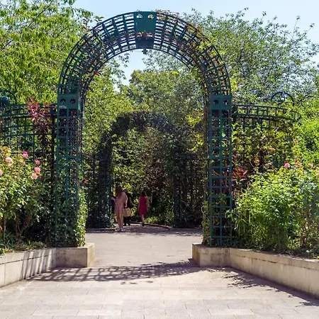 Charming In A Courtyard In *
