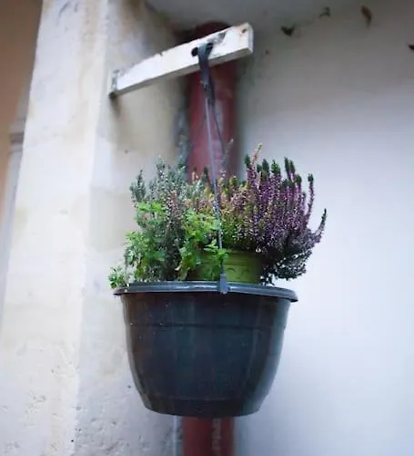 Charming In A Courtyard In Apartament Paryż
