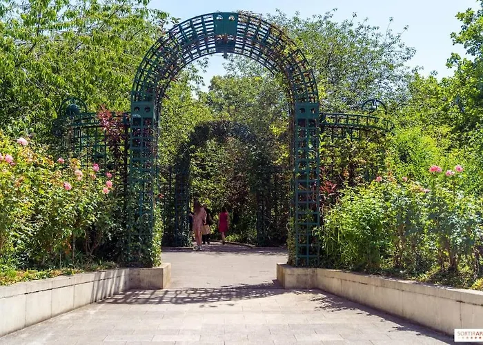 Charming In A Courtyard In *