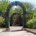Charming In A Courtyard In *